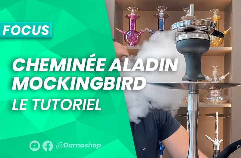 Foyer Aladin Mocking Bird: Comment préparer la tête des chichas MVP 360, 460, 470, 500, Detox...